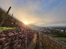 Lade das Bild in den Galerie-Viewer, Weingut Bastian Hamdorf Portugieser 2018 Fass 15 trockener Rotwein aus Klingenberg am Main deutscher Qualitätswein weich & elegant 12%vol. 0,75l