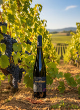 Lade das Bild in den Galerie-Viewer, Weingut Bastian Hamdorf Portugieser 2018 Fass 15 trockener Rotwein aus Klingenberg am Main deutscher Qualitätswein weich & elegant 12%vol. 0,75l