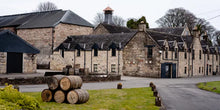Lade das Bild in den Galerie-Viewer, The Dalmore 12 Jahre Highland Single Malt Scotch Whisky 40%vol. 0,7l