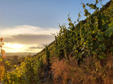 Lade das Bild in den Galerie-Viewer, Weingut Bastian Hamdorf Portugieser 2018 Fass 15 trockener Rotwein aus Klingenberg am Main deutscher Qualitätswein weich & elegant 12%vol. 0,75l