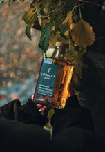 Lade das Bild in den Galerie-Viewer, Lochlea Our Barley Core Range Single Malt Scotch Whisky 46%vol. 0,7l - Auktionshaus Martin