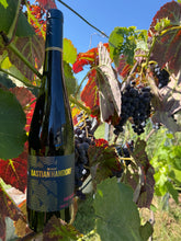 Lade das Bild in den Galerie-Viewer, Weingut Bastian Hamdorf Portugieser 2018 Fass 15 trockener Rotwein aus Klingenberg am Main deutscher Qualitätswein weich &amp; elegant 12%vol. 0,75l

