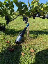 Lade das Bild in den Galerie-Viewer, Weingut Bastian Hamdorf Portugieser 2018 Fass 15 trockener Rotwein aus Klingenberg am Main deutscher Qualitätswein weich &amp; elegant 12%vol. 0,75l
