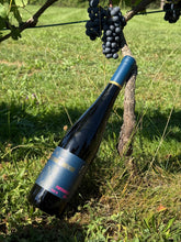 Lade das Bild in den Galerie-Viewer, Weingut Bastian Hamdorf Portugieser 2018 Fass 15 trockener Rotwein aus Klingenberg am Main deutscher Qualitätswein weich &amp; elegant 12%vol. 0,75l
