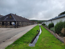 Lade das Bild in den Galerie-Viewer, Glen Moray Elgin Our Classic Speyside Single Malt Scotch Whisky 40%vol. 0,7l
