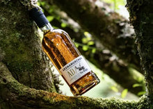 Lade das Bild in den Galerie-Viewer, Ardnamurchan AD The Midgie Release 2026 Highland Single Malt Scotch Whisky 48%vol. 0,7l
