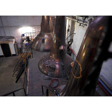 Lade das Bild in den Galerie-Viewer, Springbank 10 Jahre Campbeltown Single Malt Scotch Whisky 46% vol. 0,7l - Auktionshaus Martin
